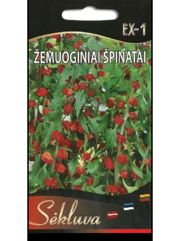 Špinatai žemuoginiai EX-1