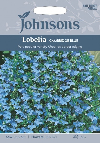 Lobelijos paprastosios Cambridge Blue