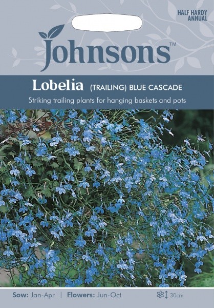 Lobelijos paprastosios Blue Cascade