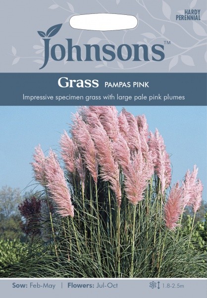 Kortaderijos argentininės Pink