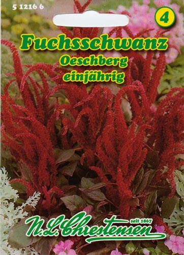 Burnočiai šluoteliniai Oeschberg