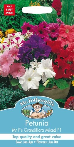 Petunijos Grandiflora (mišinys) 120s