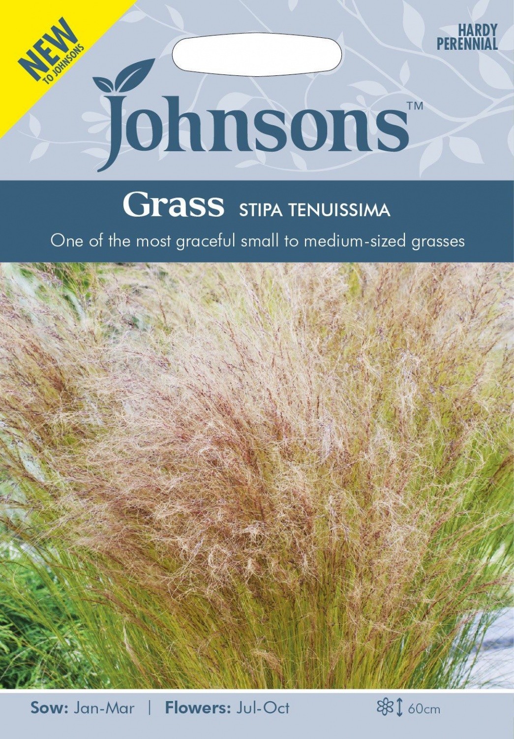 Ašuotės Stipa Tenuissima