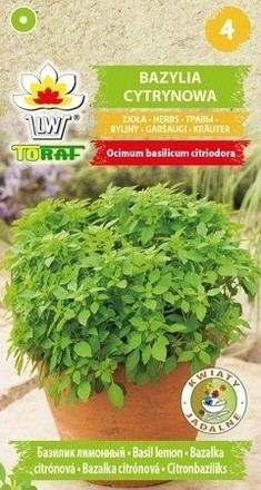 Bazilikai kvapieji (citrininiai)
