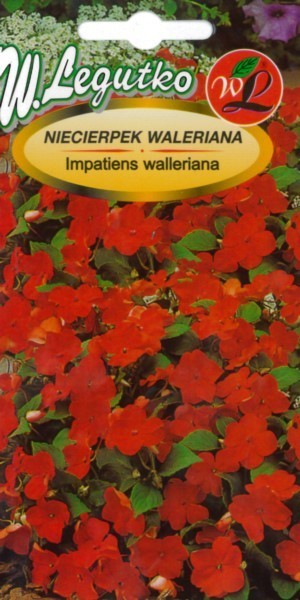 Sprigės valero raudonžiedės