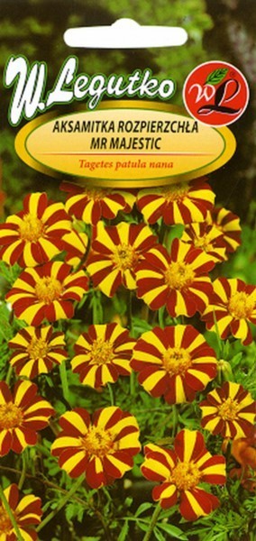 Serenčiai gvazdikiniai Mr Majestic