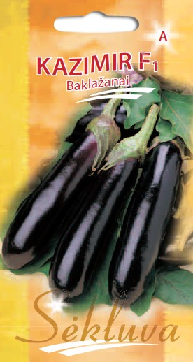 Baklažanai Kazimir (A grupė)