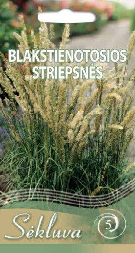 Blakstienotosios striepsnės (5 grupė)