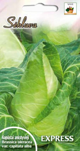 Kopūstai gūžiniai baltieji EXPRESS