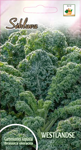 Kopūstai garbanotieji Westlandese (Baltic) 1g