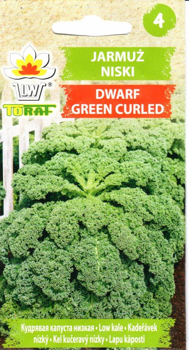 Kopūstai garbanotieji (lapiniai) Dwarf Green Curled