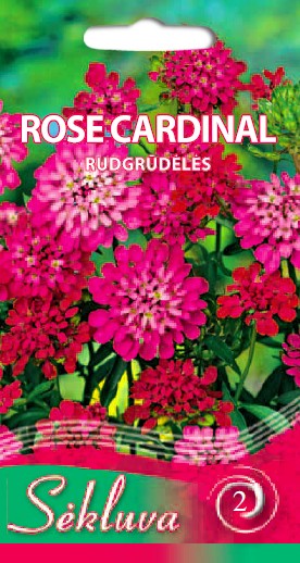 Rudgrūdėlė Rose Cardinal (2 grupė)