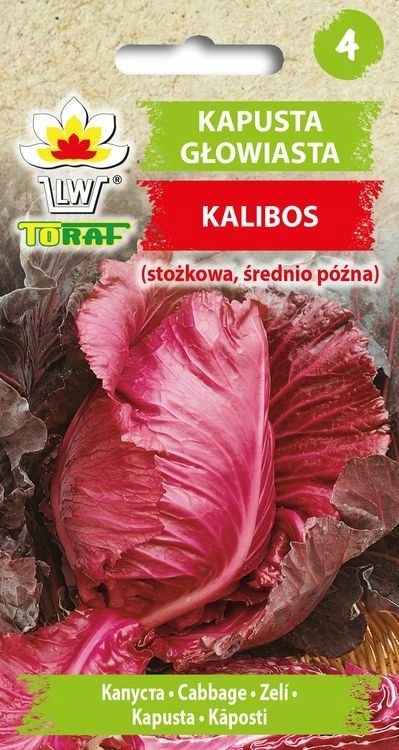 Kopūstai raudonieji Kalibos