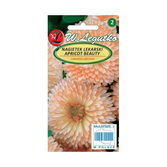 Medetkos vaistinės Apricot Beauty
