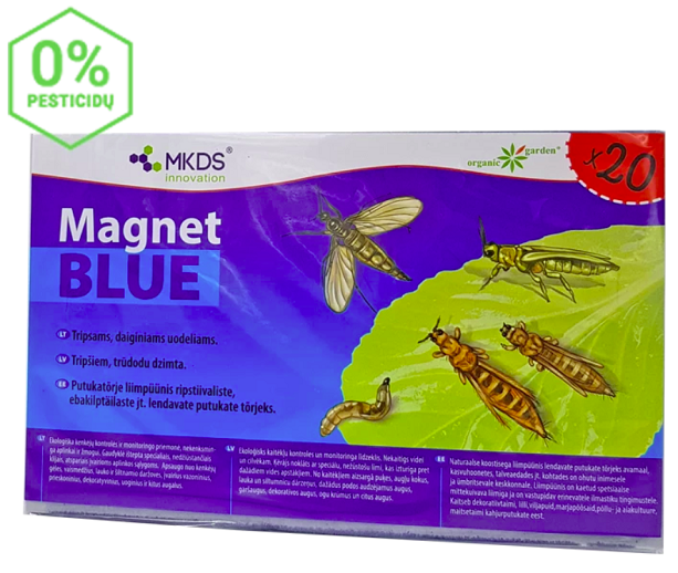 MINI tripsų, daiginių uodelių gaudyklė Magnet Blue 20vnt