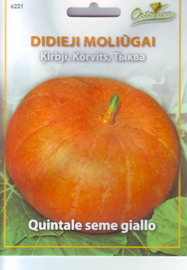 Moliūgai didieji Quintale Seme Giallo 2.2g
