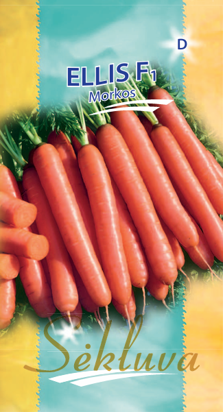 Morkos Ellis (D grupė) 500s