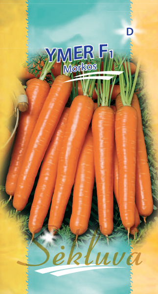 Morkos Ymer (D grupė) 500s