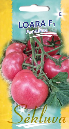Pomidorai Loara F1 (E grupė)