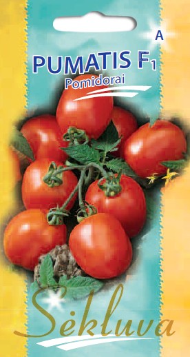 Pomidorai Pumatis (A grupė) 15s