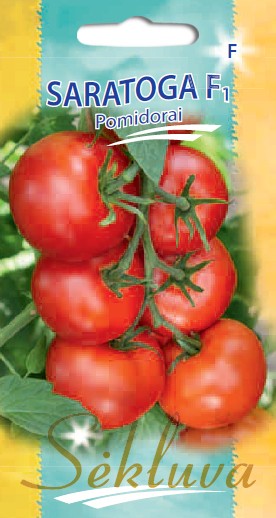 Pomidorai Saratoga (F grupė)
