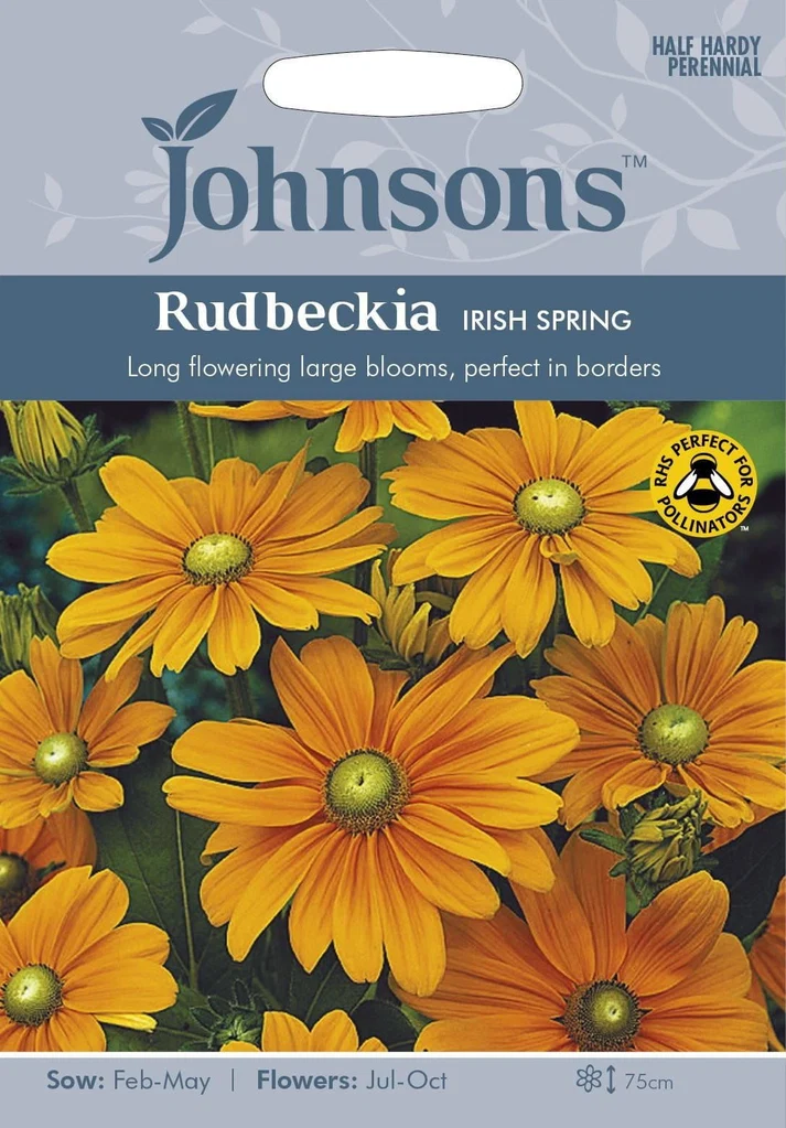 Rudbekijos plaukuotosios Irish Spring 50s