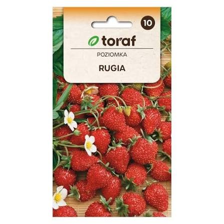Žemuogės Rugia 0.2g
