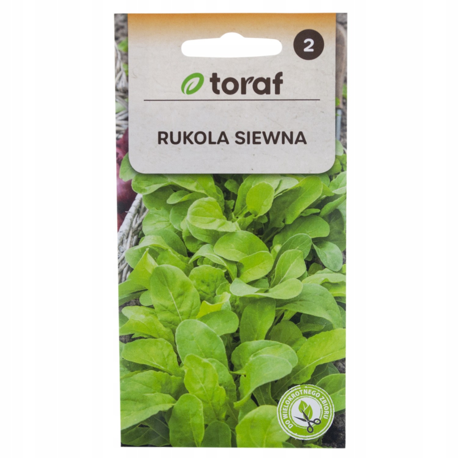Šatreiniai siauralapiai (Rukola Swiewna)