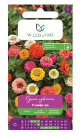 Gvaizdūnės puikiosios Thumbelina 0.5g