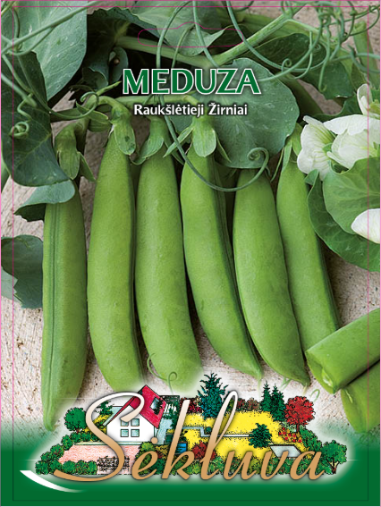 Žirniai raukšlėtieji Meduza (Sodžius) 40g