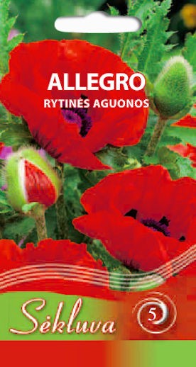 Aguonos rytinės Allegro (5 grupė)