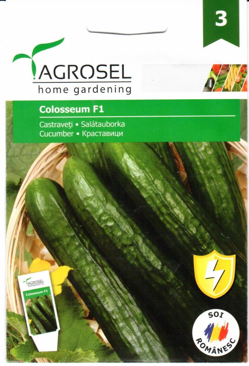Agurkai ilgavaisiai Colosseum