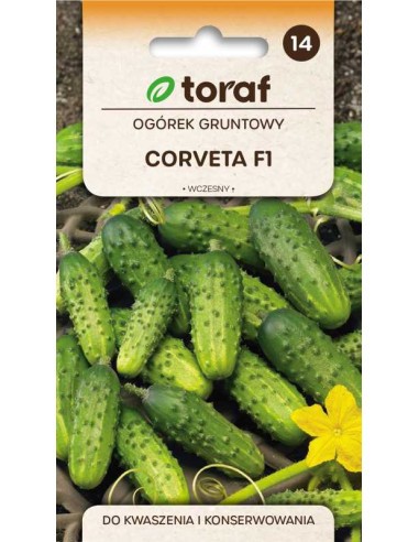 Agurkai trumpavaisiai Corveta
