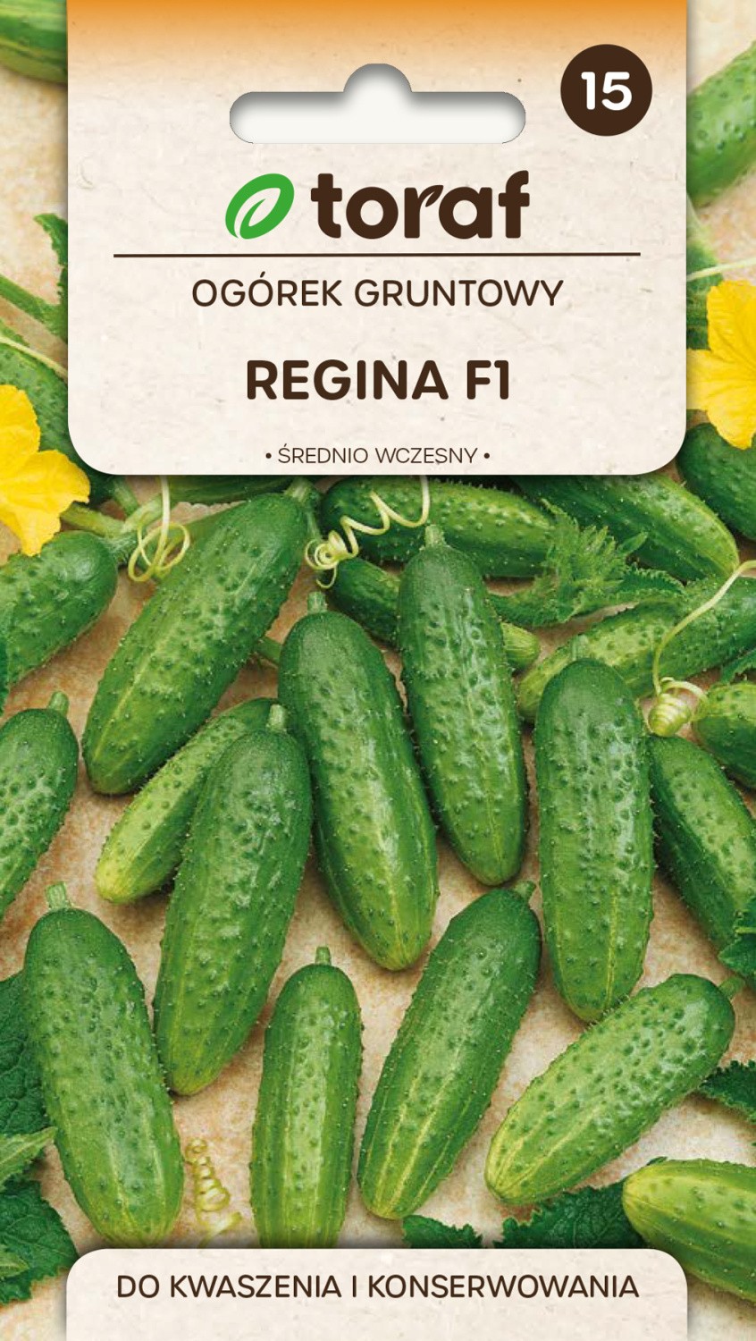Agurkai trumpavaisai Regina F1 5g