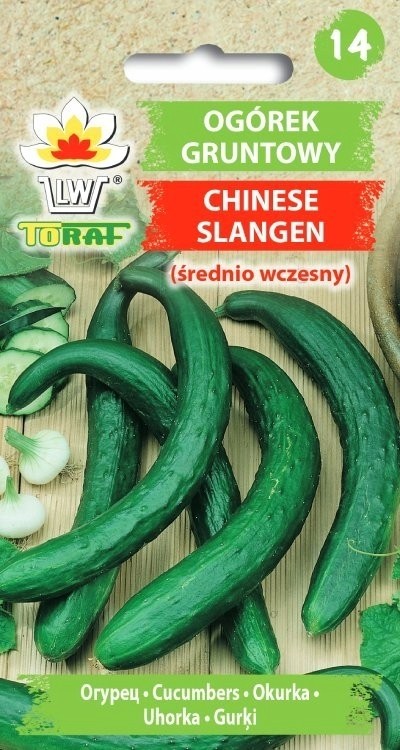 Agurkai ilgavaisiai Chinese Slangen