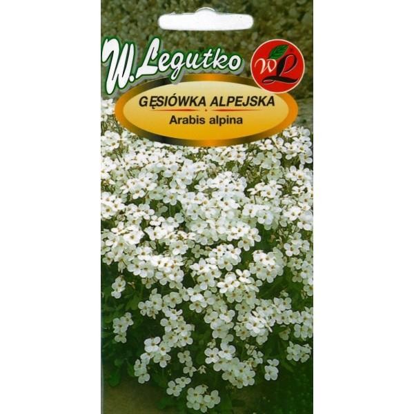 Alpiniai vaistučiai (balti)