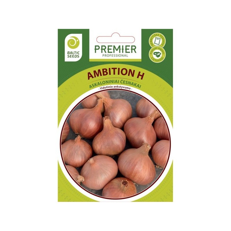 Česnakai askaloniniai Ambition H