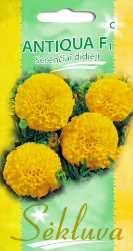 Serenčiai didieji Antiqua Yellow (C grupė)