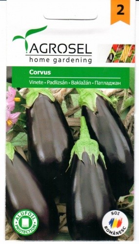 Baklažanai Corvus 2g
