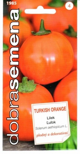 Baklažanai etiopiniai Turkish Orange
