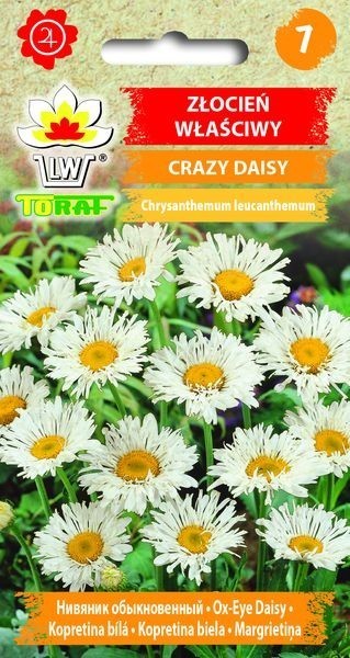 Baltagalvės didžiosios Crazy Daisy 0.2g