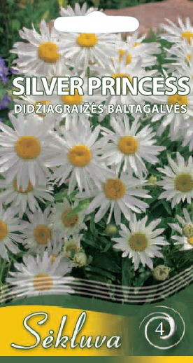 Didžiagraižės baltagalvės Silver Princess (4 grupė)