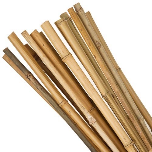 Lazdelė bambukinė, atrama 153cm 16-18mm