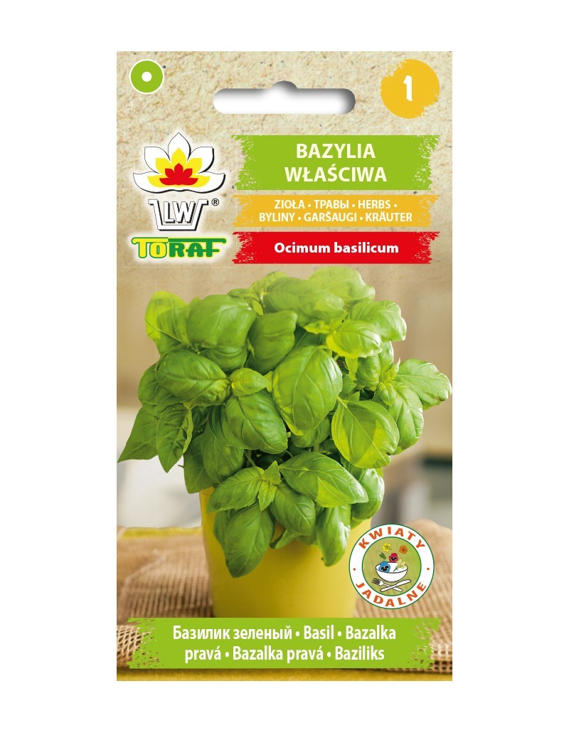 Kvapnusis bazilikas