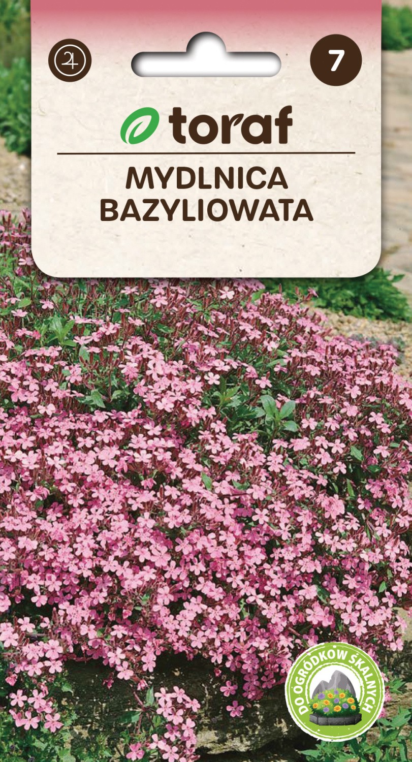 Bazilikiniai putokliai