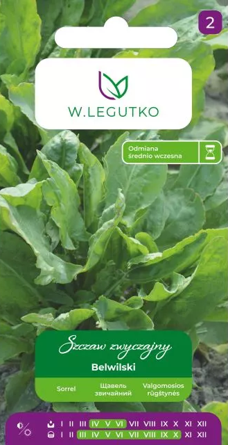 Rūgštynės stambialapės Belwilski 2g