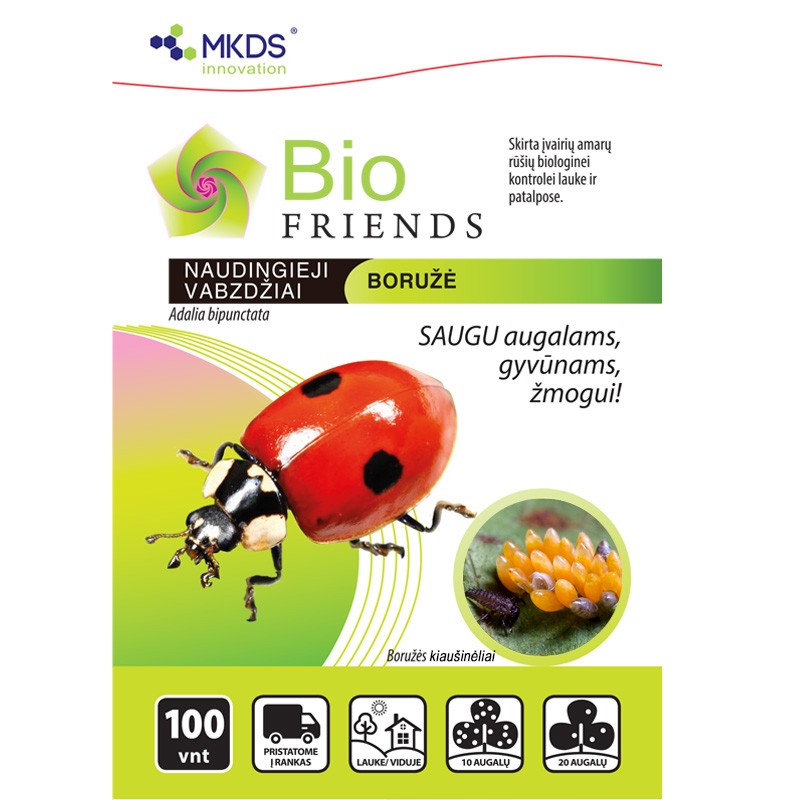 BORUŽĖ - Biofriends naudingi vabzdžiai 100vnt kiaušinėlių