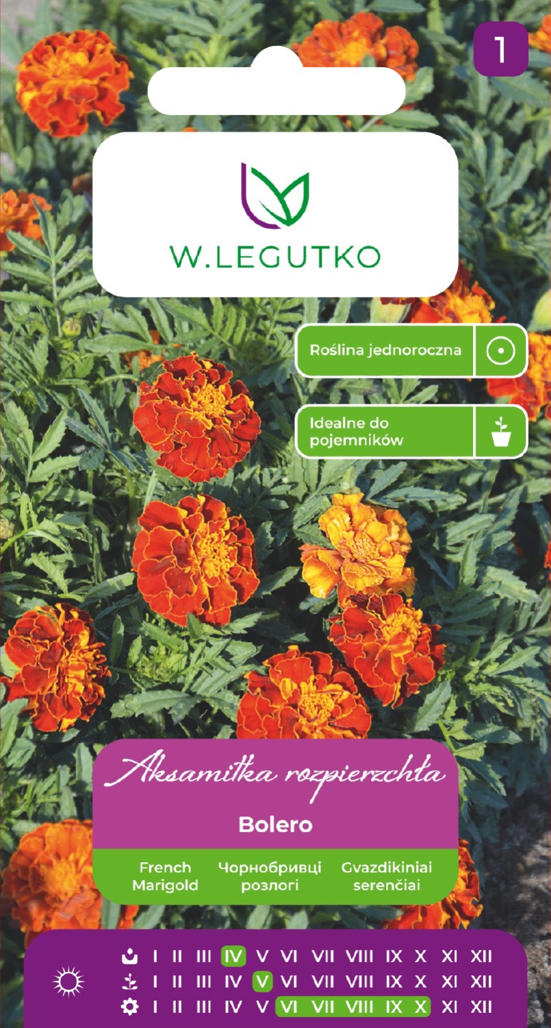 Serenčiai gvazdikiniai Bolero 1g