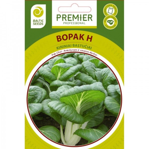 Kopūstai Pak-Choi Bopak H