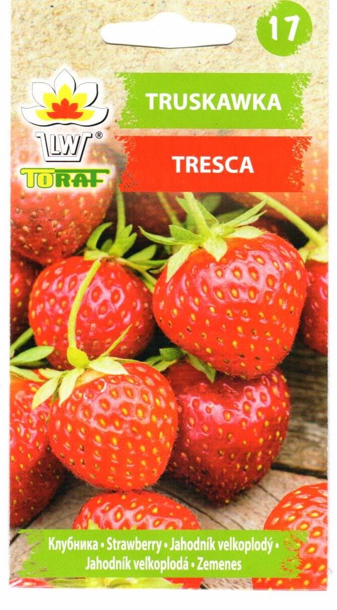 Braškės Tresca (20vnt sėklų)